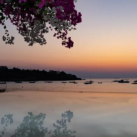 Buganvilla-sea Front Villa *