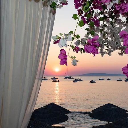 Buganvilla-sea Front Villa Agia Pelagia (Creta)