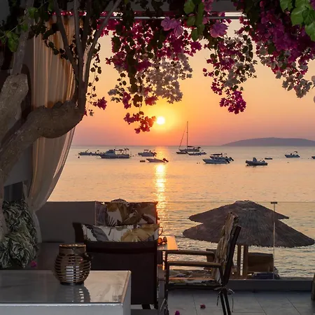 Buganvilla-sea Front Villa Agia Pelagia (Creta)