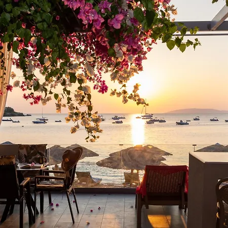 Villa Buganvilla-sea Front *